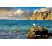 Puzzle 200 pièces de qualité supérieure - Chaque pièce est Unique - Jeu Amusant et Stimulant pour Adultes en Famille, Mer, Rochers, Mouette 35 x 25 cm