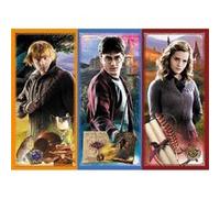 Puzzle 200 pièces : Harry Potter - Dans le monde de la magie et de la sorcellerie G