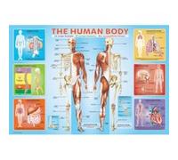Puzzle 200 pièces : Le corps humain G