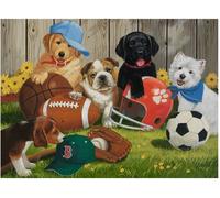 Puzzle 200 Pièces Let'S Play Ball!