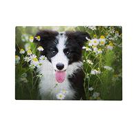 Puzzle 200 pièces pour Adultes - Border Collie Chien Fleurs de Camomille 35x25CM
