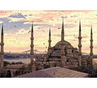 Puzzle 200 pièces Ville Turquie Istanbul Mosquée Sultan Ahmet Grand Format Bois 35 x 25 cm