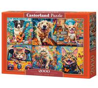 Castorland Puzzle Choisissez votre animal de compagnie – 2000 pièces – Adulte