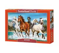 Castorland Puzzle L'appel de la nature 2000 pièces – Animaux
