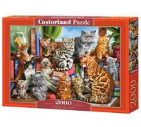 Castorland Puzzle Maison des Chats – Animaux – 2000 pièces multicolore – Enfants et adultes