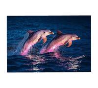Puzzle 2000 Pièces Adultes Océan, Puzzle Adulte 2000 Pièces, Dauphin Puzzles Classiques pour Activité Familiale Jeux Educatifs, Grand Puzzles en Bois avec Boite pour Cadeau Homme, Decor Chambre -3291
