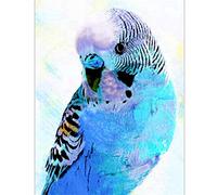 Puzzle 2000 Pièces Adultes Oiseau bleu Puzzle impossible Jouets 70X100cm（27.55 * 39.37inch）