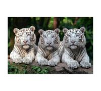 Puzzle 2000 Pièces Adultes, Puzzle 2000 Pieces Animaux, Tigre Puzzles Adulte avec Une Boîte d'Emballage Exquise, Jeux Educatifs, Grand Puzzles en Bois pour Cadeau Femme Tableau Decoration Murale -1957