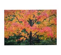 Puzzle 2000 Pieces Arbre, Puzzle 2000 Pièces Adultes Automne, Puzzles Classiques Jeux Educatifs pour Activité Familiale, Qualité Supérieure Puzzles en Bois avec Boite pour Cadeau Femme, Decor -2030