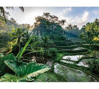 Puzzle 2000 pieces Au coeur de Bali, Adultes et enfants des 14 ans, Collection Évasion, 12001518, Nathan