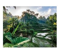 Puzzle 2000 pièces Au cœur de Bali, Adultes et enfants dès 14 ans, Collection Évasion, 12001518, Nathan