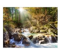 Puzzle 2000 pièces - CASTORLAND - Le ruisseau de la forêt - Marron - Pour enfants à partir de 15 ans