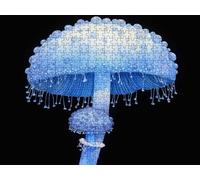 Puzzle 2000 Pieces, Champignons Bleus Puzzle Adultes, Puzzles Bois avec Une Boîte d'emballage Exquise, Impossible Classique Jigsaw, Jeu Éducatif Puzzles, Décoration Murale Cadeau Unique R5KH-510