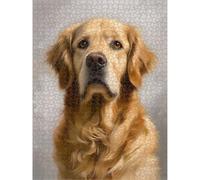 Puzzle 2000 Pièces, Chien & Animal Puzzle en Bois Durable 1T#1874