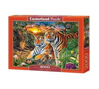 Puzzle 2000 pièces : Famille Tigres