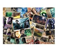 Puzzle 2000 pièces : Harry Potter : Personnages