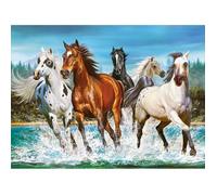 Castorland Puzzle L'appel de la nature 2000 pièces – Animaux
