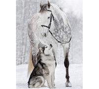Puzzle 2000 pièces - Loup et cheval - Grands puzzles pour adultes et enfants - 70x100cm