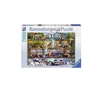 Ravensburger Puzzle Magnifique Monde Animal – Aimee Stewart – 2000 pièces – Dès 14 ans