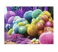 Puzzle 2000 pièces Nathan E