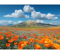 Puzzle 2000 Pieces Paysage Puzzle Adulte 99x70cm, Fleur, n-144 | Puzzles Défiants Jeu éducatif, Jeu D'Adresse Pour Toute La Famille, Activité Familiale Parfaite, Idee Cadeau
