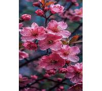 Puzzle 2000 Pièces pour Adultes 100x70cm - Fleurs Cerisier Roses - avec Lettres et Poster de Référence - Activité Relaxation et Défi - Décoration Murale - Cadeau pour Hommes et Femmes