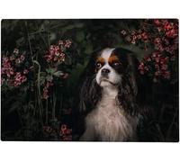 Puzzle 2000 pièces pour Adultes - Cavalier King Charles Spaniel et Fleurs 70 x 100 cm