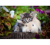 Puzzle 2000 pièces pour Adultes - Puzzle Chat et Lapin décoration Jouet Cadeau pour Enfants - Puzzles familiaux stimulants pour Le Plaisir 70x100CM