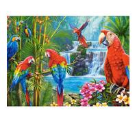 Puzzle 2000 pièces : Rencontre de perroquets