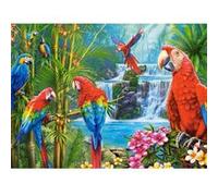 Puzzle 2000 pièces - CASTORLAND - Rencontre de perroquets - Age 15 ans
