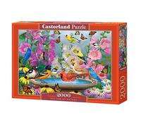 Puzzle 2000 pièces : Rythme de la Nature