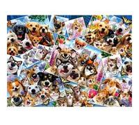 Puzzle 2000 pièces : Selfie Pet Anatolian G