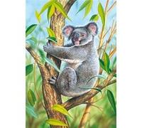 Puzzle 24 pièces - Koala