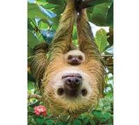 Puzzle 250 pièces : Collection Save our planet : Les paresseux Eurographics G