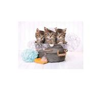 Puzzle 3 Chatons Dans Une Bassine - 500 Pieces - Clementoni - Collection Animaux - Chat
