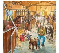 Puzzle 3 X 49 Pièces - Bienvenue Au Centre Équestre