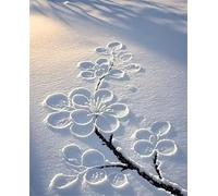 Puzzle 30 Pièces Jeux éducatif Défi Jouets Fleurs de Neige abstraites Puzzles Classiques Puzzle DIY Cadeaux de l'art de la Décoration Moderne