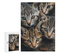 Puzzle 300 PCS Adorable Tabby Kittens -1 Puzzles pour Adolescents - Anti-Stress - Défi Éducatif - Idée Cadeau Et Anniversaire Unique 300 PCS