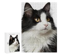 Puzzle 300 PCS pour Adolescents Black & White Fluffy Cat-1 Puzzles pour Adultes : Améliorent La Mémoire, Difficiles Et Stimulants, Cadeaux De Noël Et d'anniversaire 300 PCS