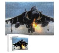 Puzzle 300 PCS pour Adolescents Fighter Aircraft Puzzle pour Adultes Jeux Relaxants Décoration Parfaite, pour Toute La Famille 300 PCS
