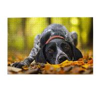 Puzzle 300 pièces Braque Allemand à Poil Court Automne Animaux de Compagnie Chiens Puzzle Jouet Jeu Familial Décoration Murale pour Adultes Adolescents 38x26CM