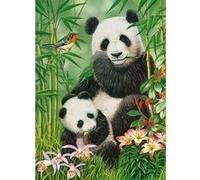 Puzzle 300 pièces : Brunch de Panda Castorland