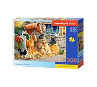 Puzzle Castorland Jigsaw entre Gathering friends 300 bits
