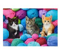Puzzle 300 pièces - Castorland - Chatons - Animaux - Intérieur