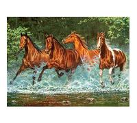 Puzzle 300 pièces : Chevauchée dans l'eau