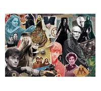 Puzzle 300 pièces : Harry Potter