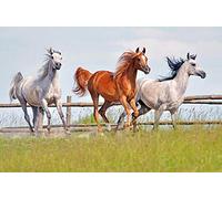 Puzzle 300 pièces Photos d'animaux Cheval Courant Herbe Trois Animaux Cadeaux de Noël 38x26CM