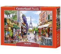 Castorland Puzzle Flowering, Paris - 3000 pièces