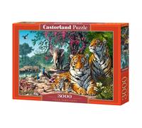 Castorland Puzzle 3000 pièces Tiger Sanctuary multicolore
