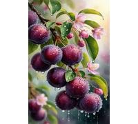 Puzzle 3000 Pieces Adulte Fleur Fruit 122 x 81 cm Puzzles Adultes 3000 Pièces Puzzle Impossible Jeu Éducatif Jeu D'adresse pour Toute la Famille